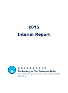 2015年中期报告书