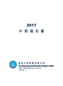 2017年中期报告书