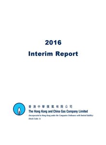 2016年中期报告书