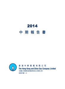 2014年中期報告書