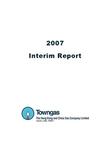 Interim Report 2007