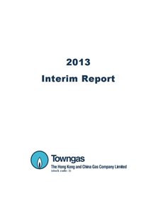 2013年中期报告书