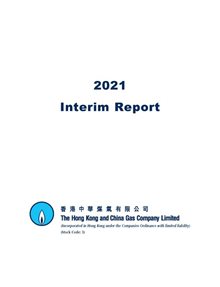 Interim Report 2021