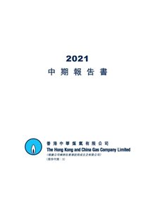 2021年中期报告书