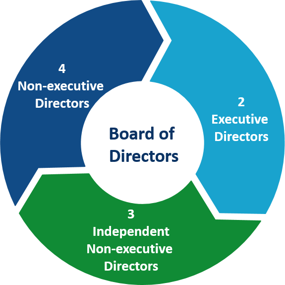 chart_corporate_governance_v2021-(4).png