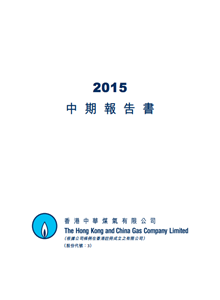 2015年中期報告書