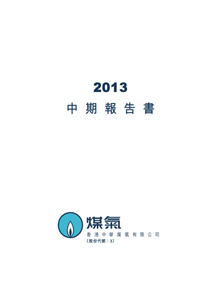 2013年中期報告書