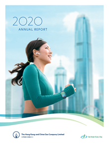 Annual Report 2020