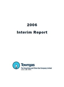 Interim Report 2006