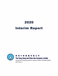 Interim Report 2020