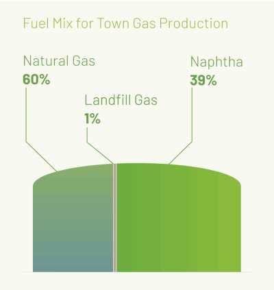 Fuel-Mix-English-(2).PNG