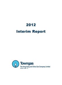2012年中期报告书
