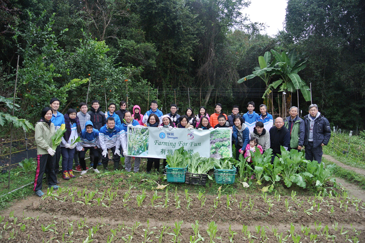 Towngas Voluntary Service Team: Volunteers perform organic farming on company’s farmland and then give the organic vegetables to the non-governmental organizations.