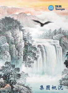 2013 集團概況
