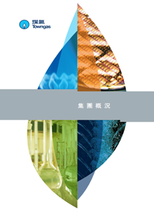 2015 集團概況