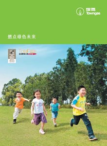 燃點綠色未來單張 (簡體中文版)