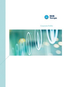 Corporate Profile 2014