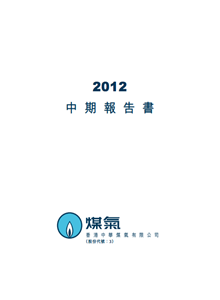 2012年中期報告書