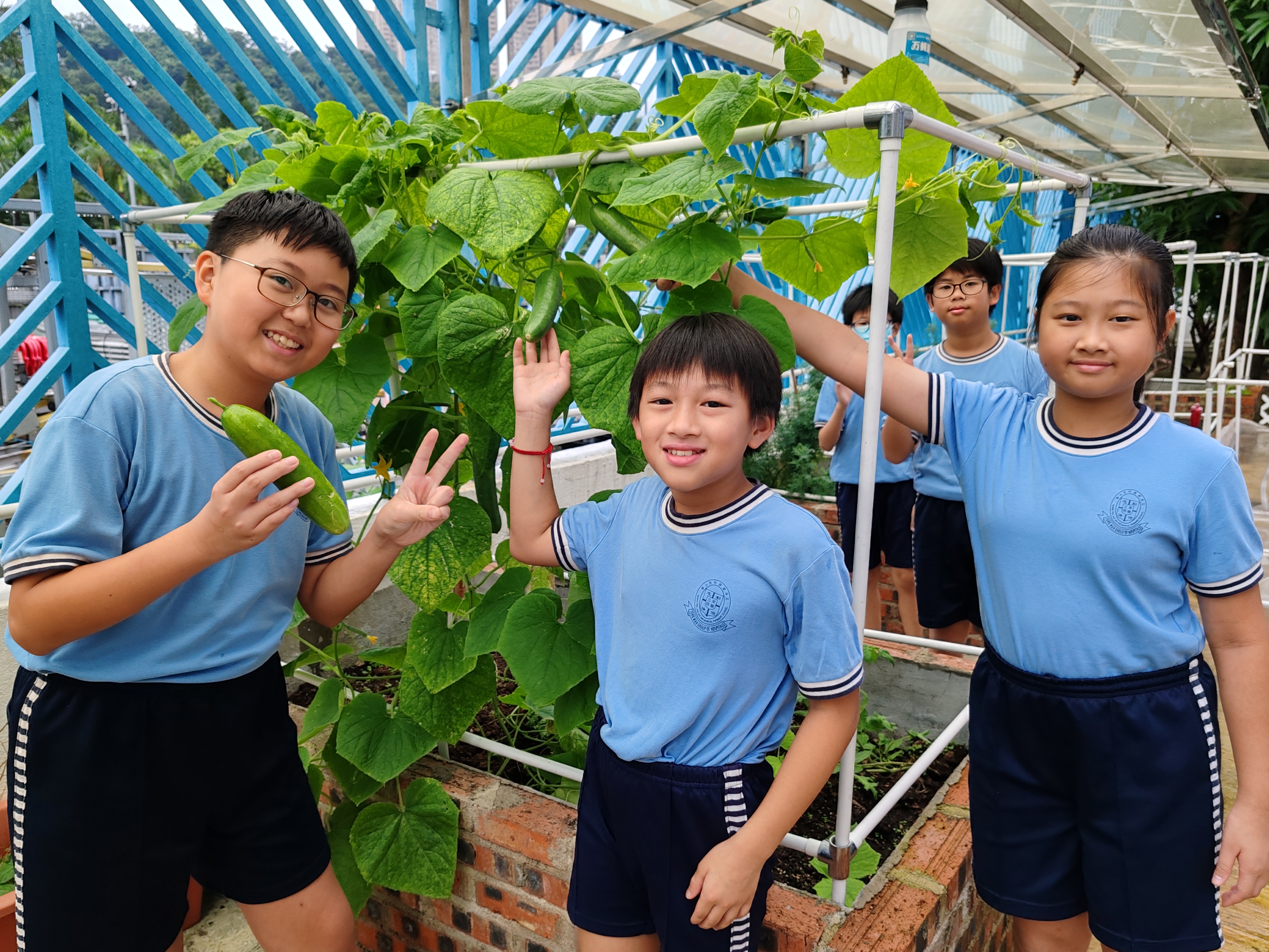 Towngas hopes to enhance the green education through business-school partnerships.