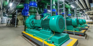 Energy Security and Asset Integrity