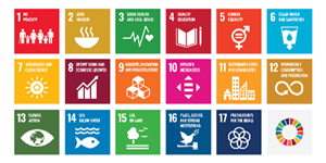 UN Sustainable Development Goals