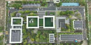 Towards Carbon Neutrality