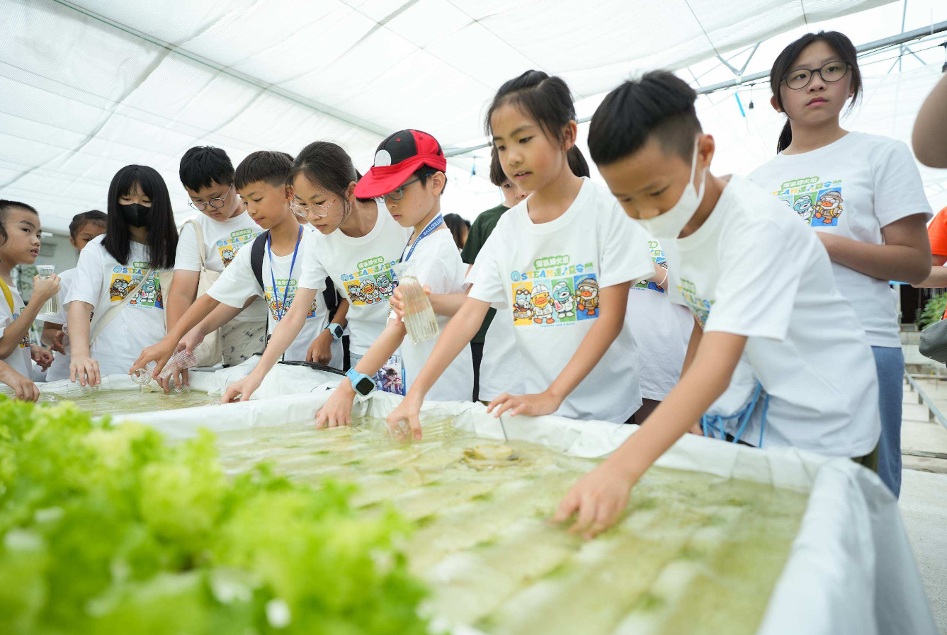 Towngas promotes eco-living to students through the Summer Camp.